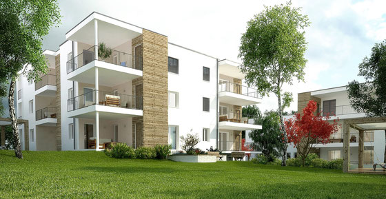 Hofkirchen Wimmerfeld