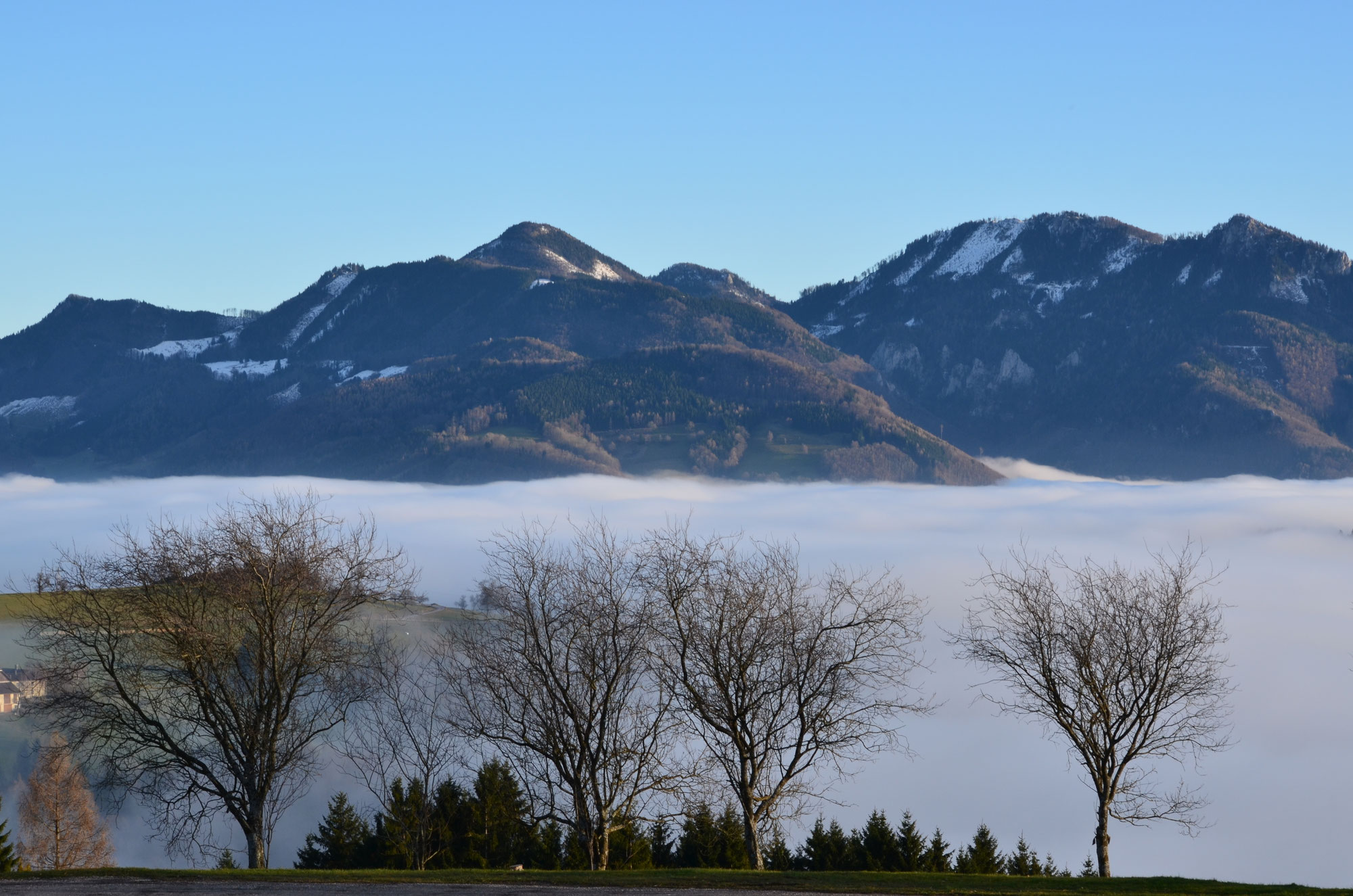 Panoramablick April 2017