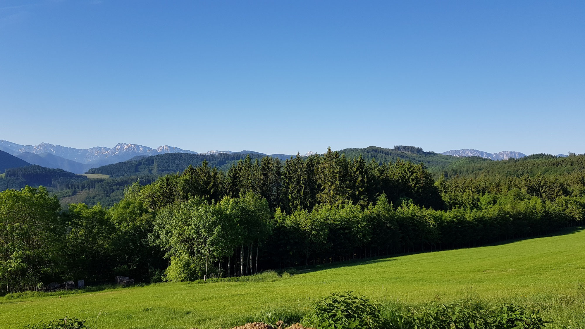 Nußbach Juni 2019