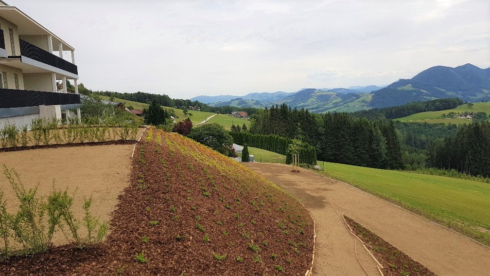 Nußbach Juli 2019