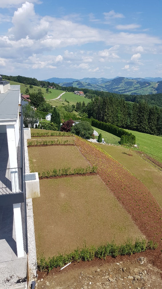 Nußbach Juli 2019